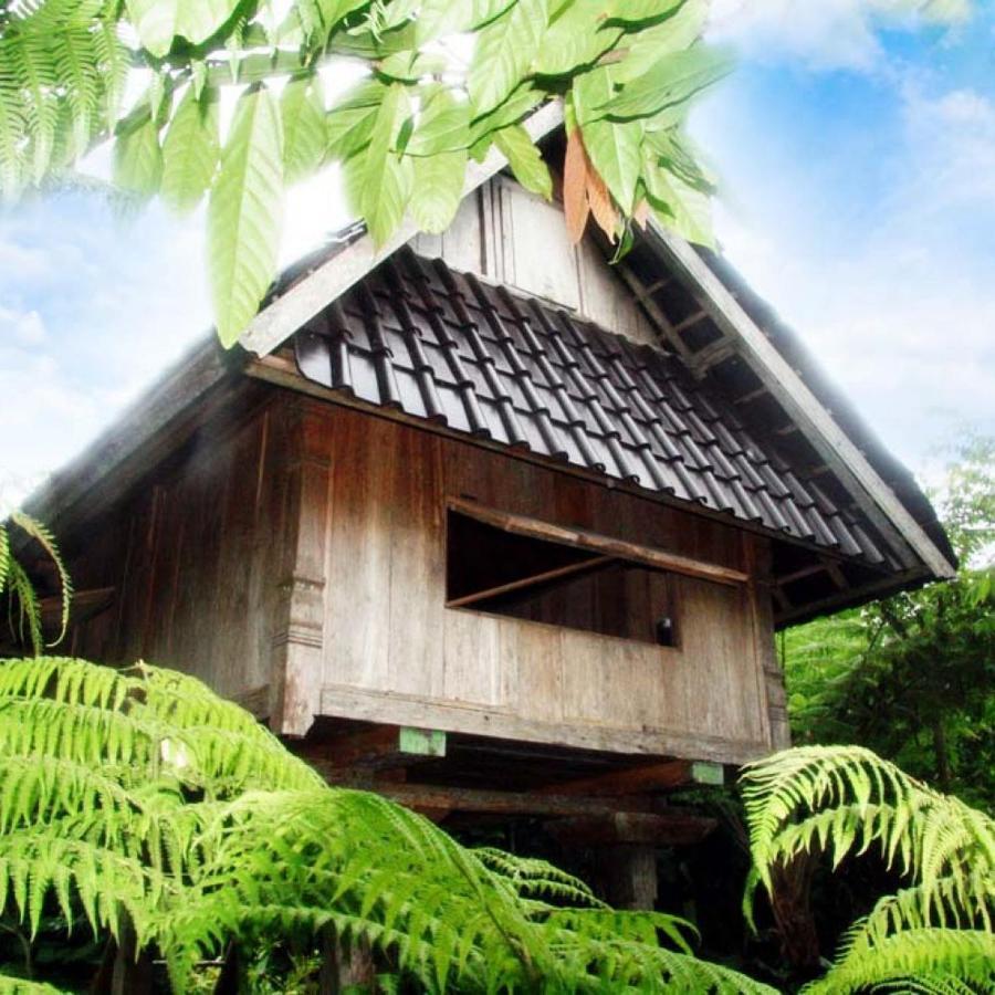 Bali Mountain Retreat Villa Selemadeg  Luaran gambar