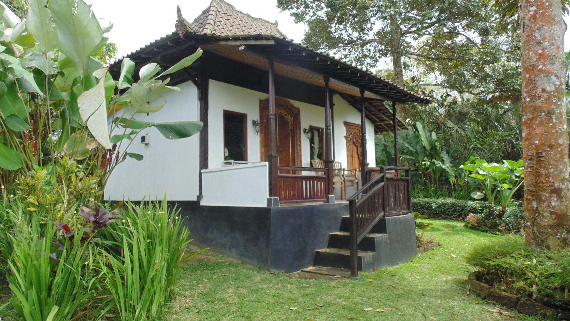 Bali Mountain Retreat Villa Selemadeg  Luaran gambar