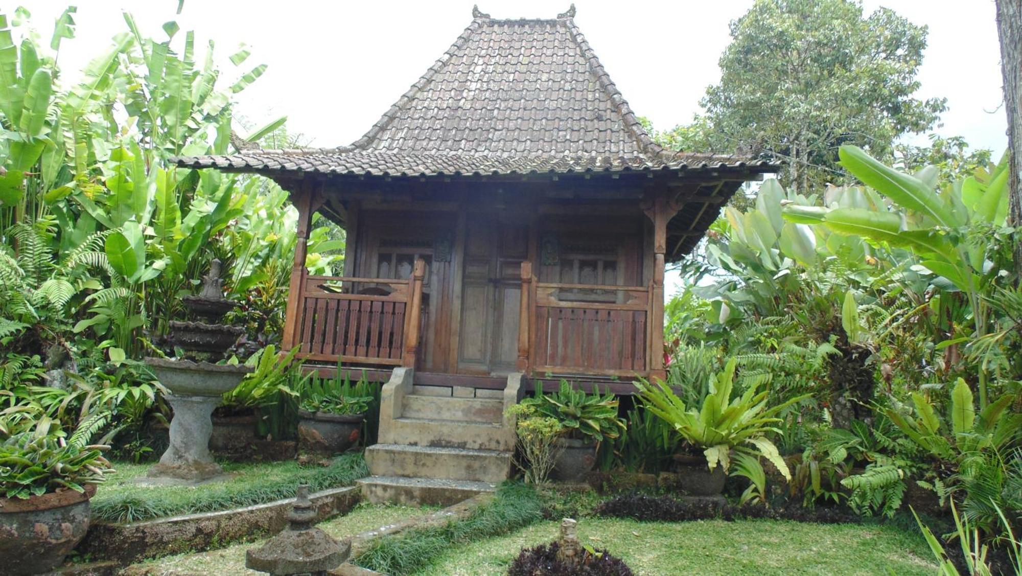Bali Mountain Retreat Villa Selemadeg  Luaran gambar