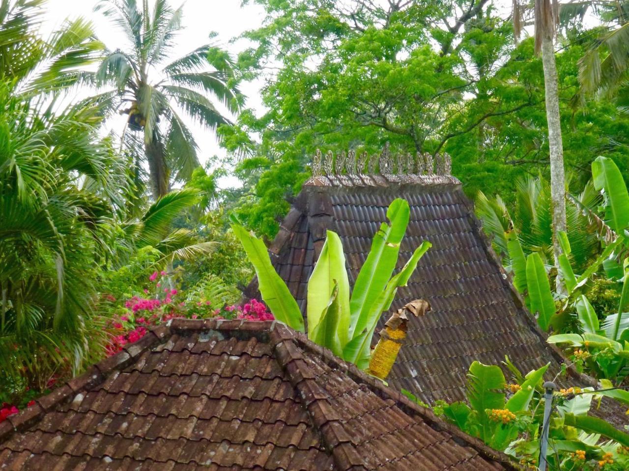 Bali Mountain Retreat Villa Selemadeg  Luaran gambar
