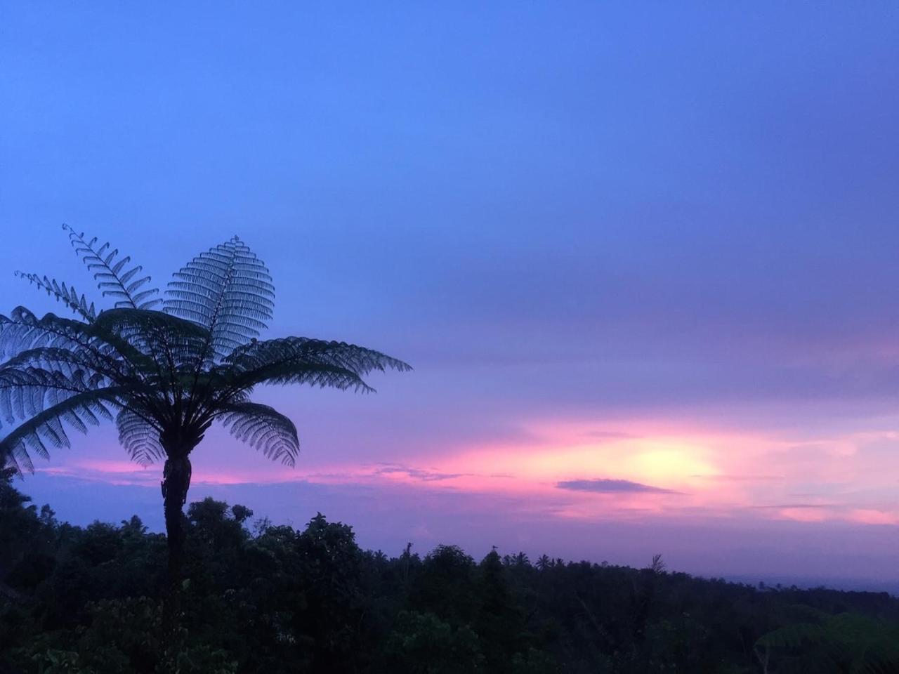 Bali Mountain Retreat Villa Selemadeg  Luaran gambar
