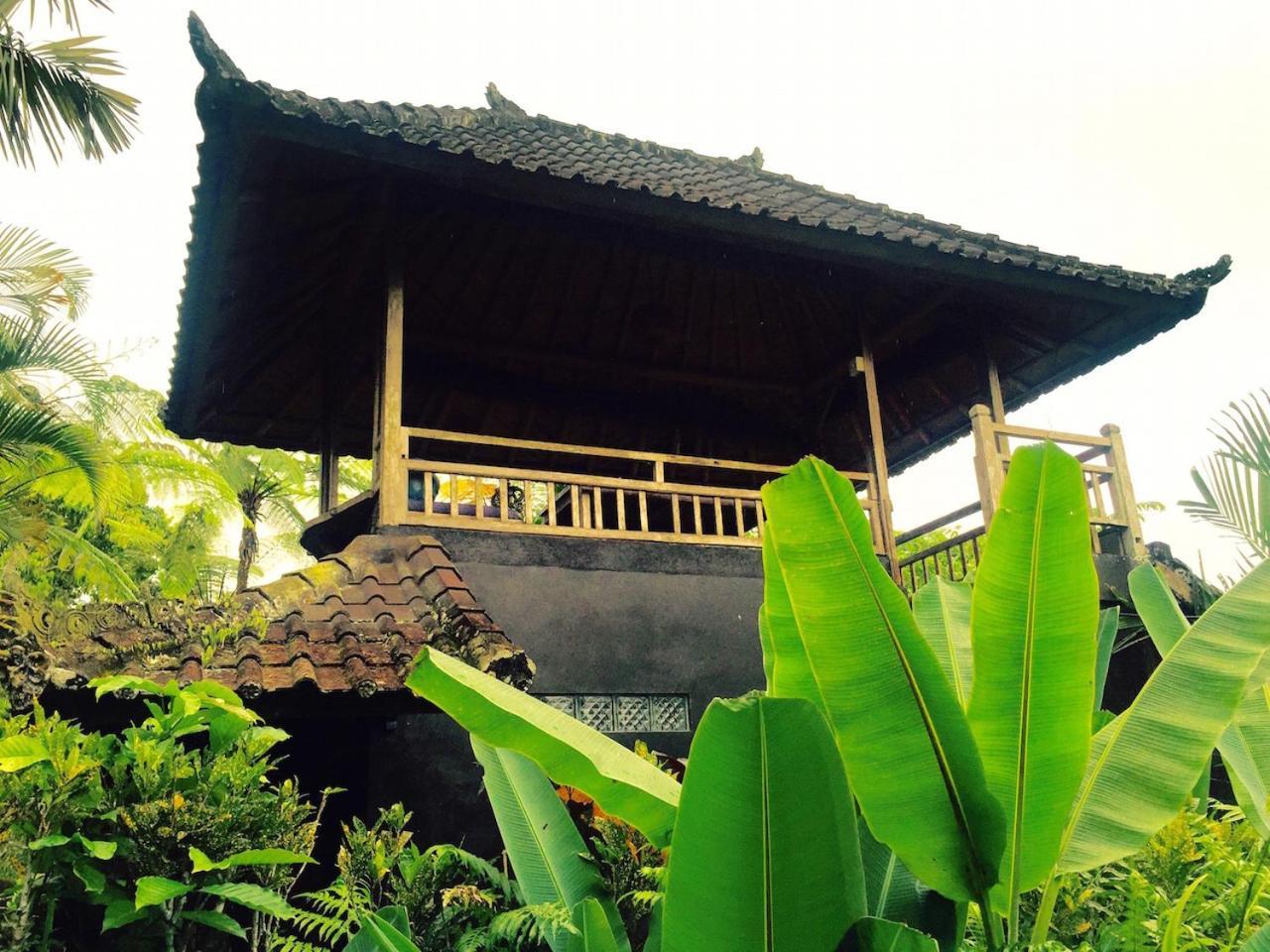Bali Mountain Retreat Villa Selemadeg  Luaran gambar