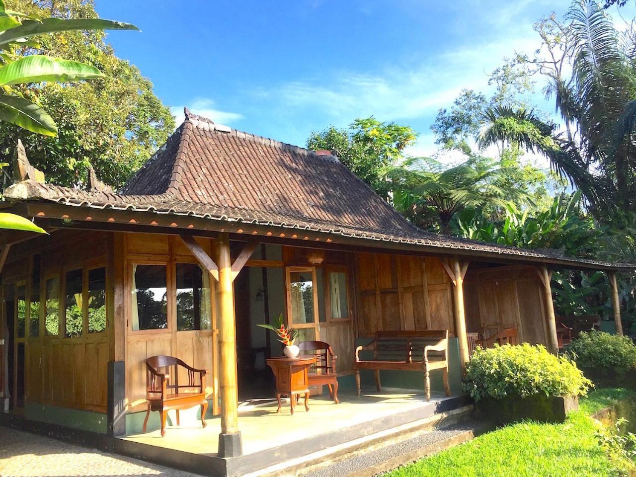 Bali Mountain Retreat Villa Selemadeg  Luaran gambar